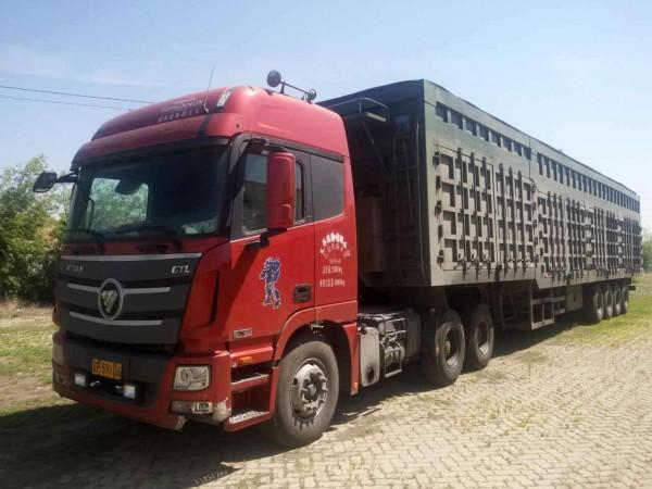 武義到集安貨運公司電話武義到集安貨運公司電話號碼