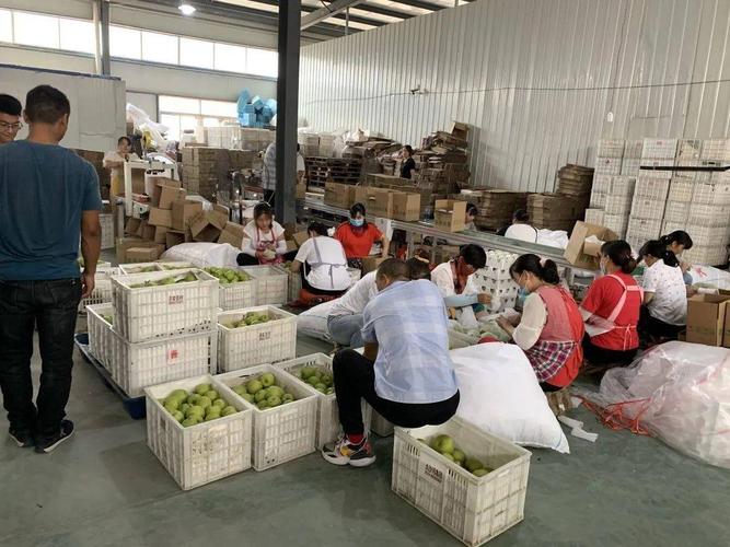 碭山縣物流貨運在哪里碭山縣物流貨運在哪里啊