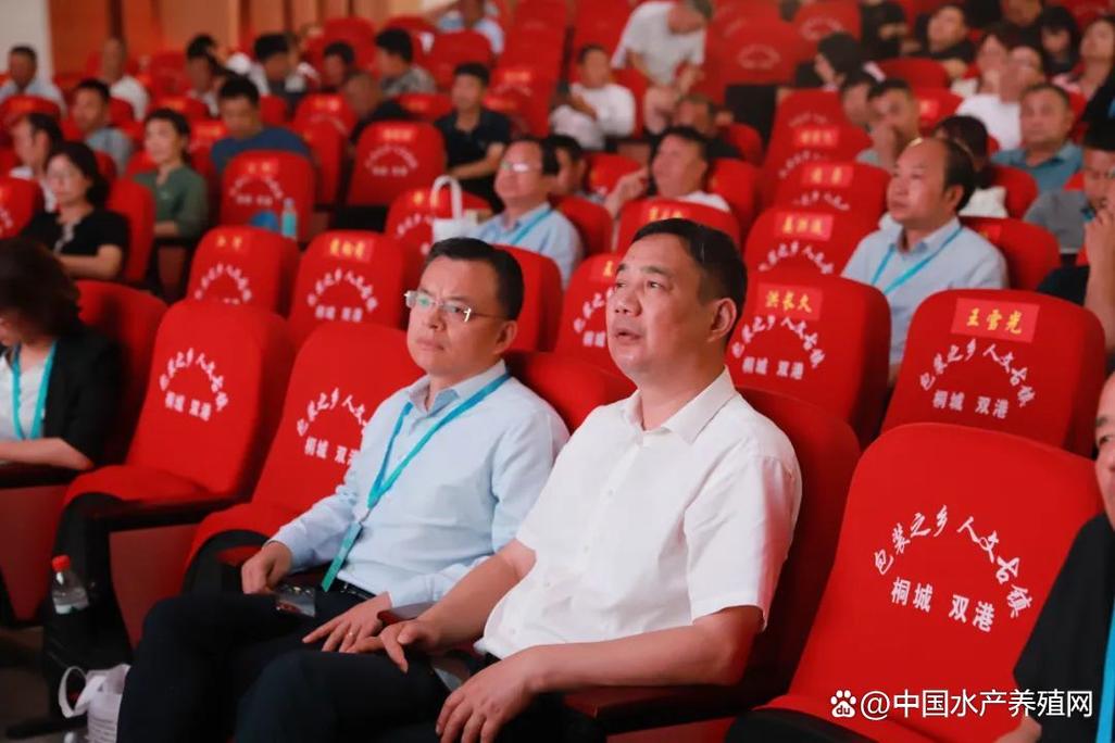 遼寧到桐城市貨運專線安徽桐城到沈陽有多遠